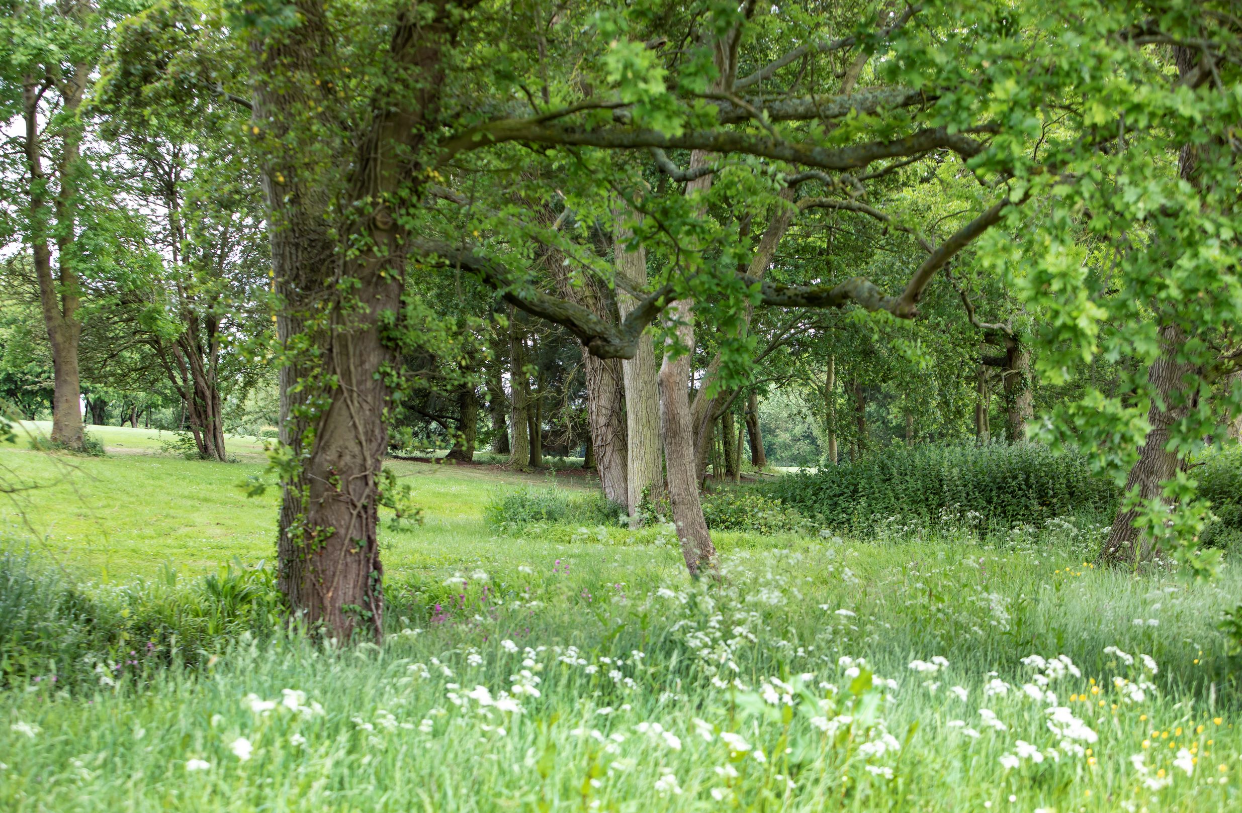 Gallery image 2 for Forrester Park