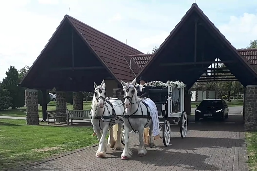 Gallery image 2 for Catherine's Carriages
