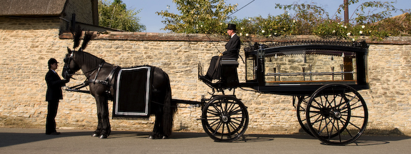 Gallery image 3 for Horse Drawn Carriages
