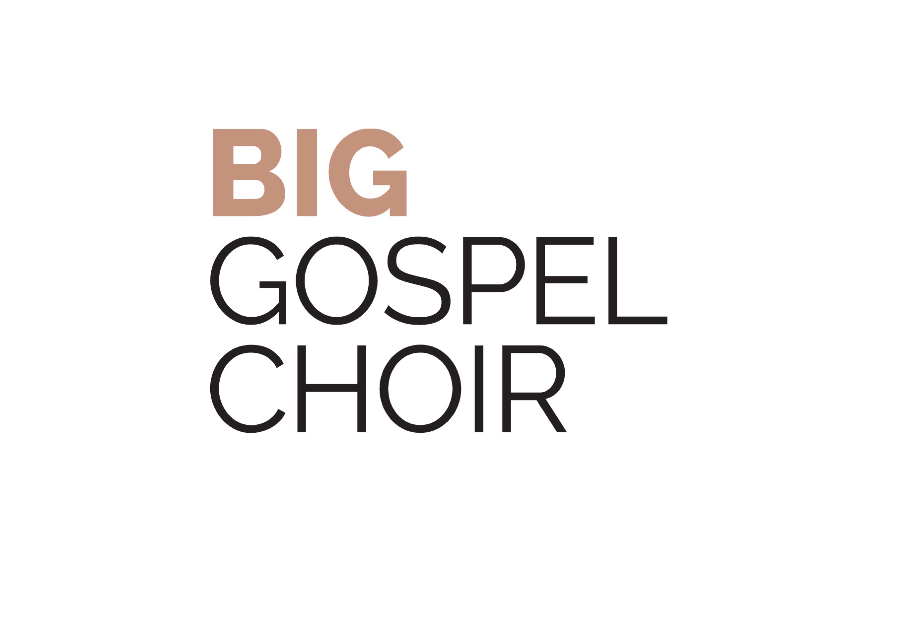 Gallery image 1 for Big Gospel Choir