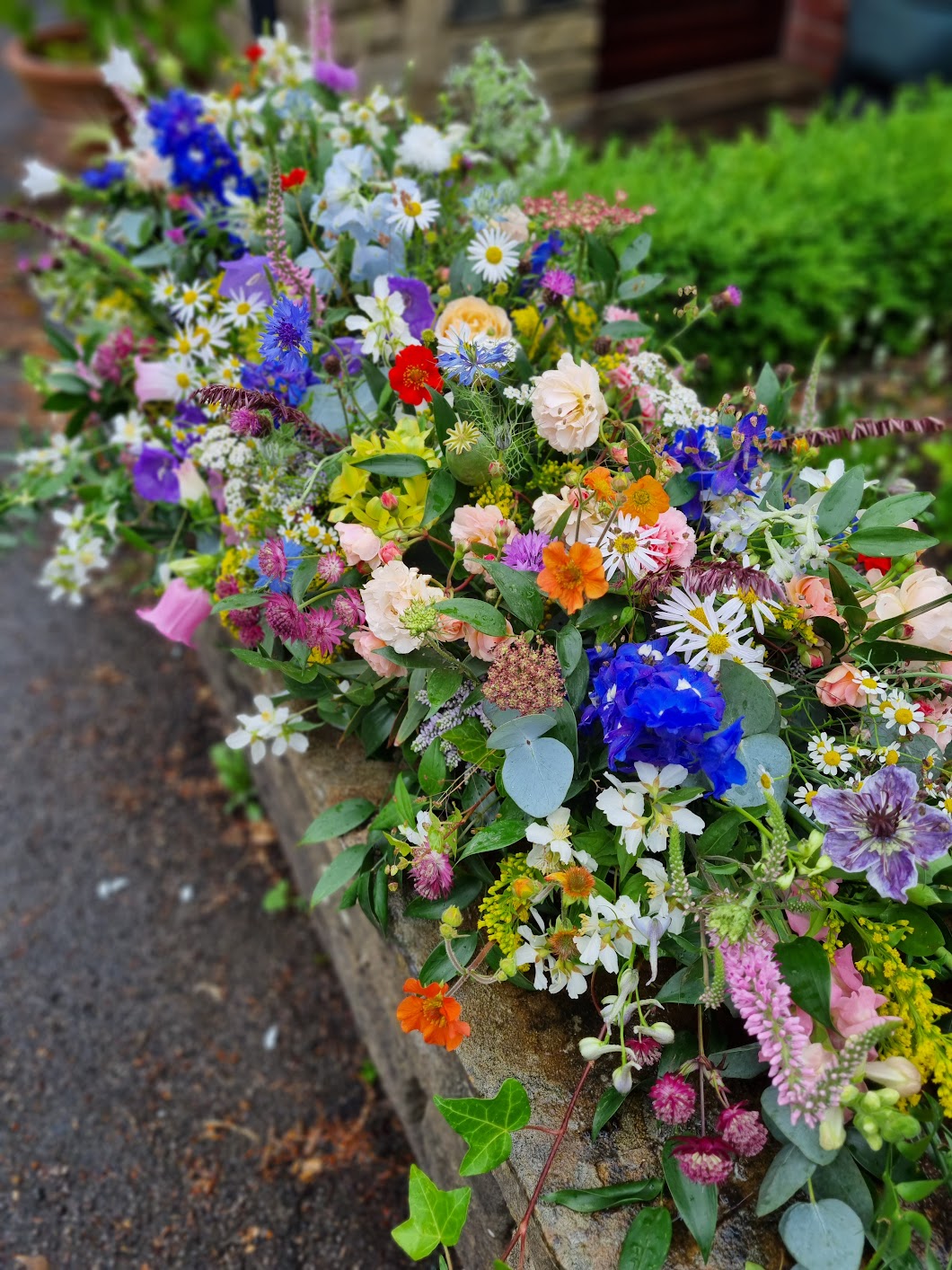 Gallery image 4 for Spring Wood Flowers