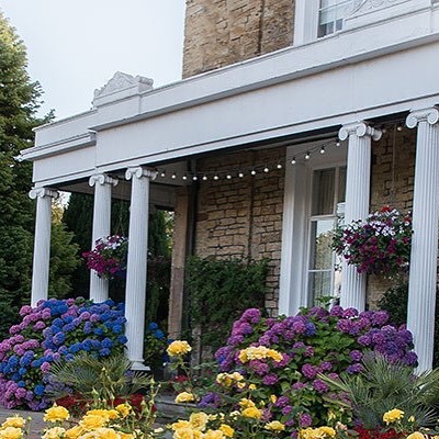 Gallery image 5 for Ringwood Hall Hotel & Spa