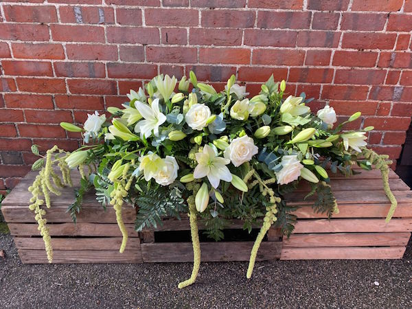 Gallery image 3 for The Daisy Chain