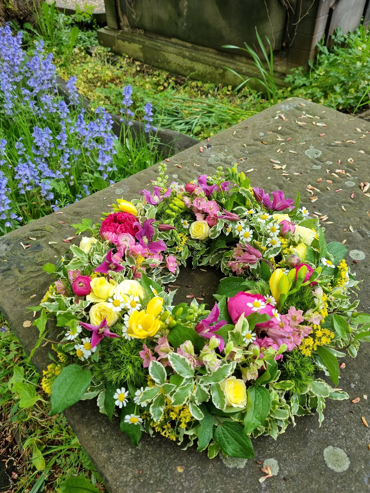 Gallery image 5 for Spring Wood Flowers