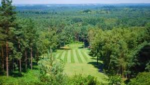 Gallery image 4 for Old Thorns Golf & Country Estate