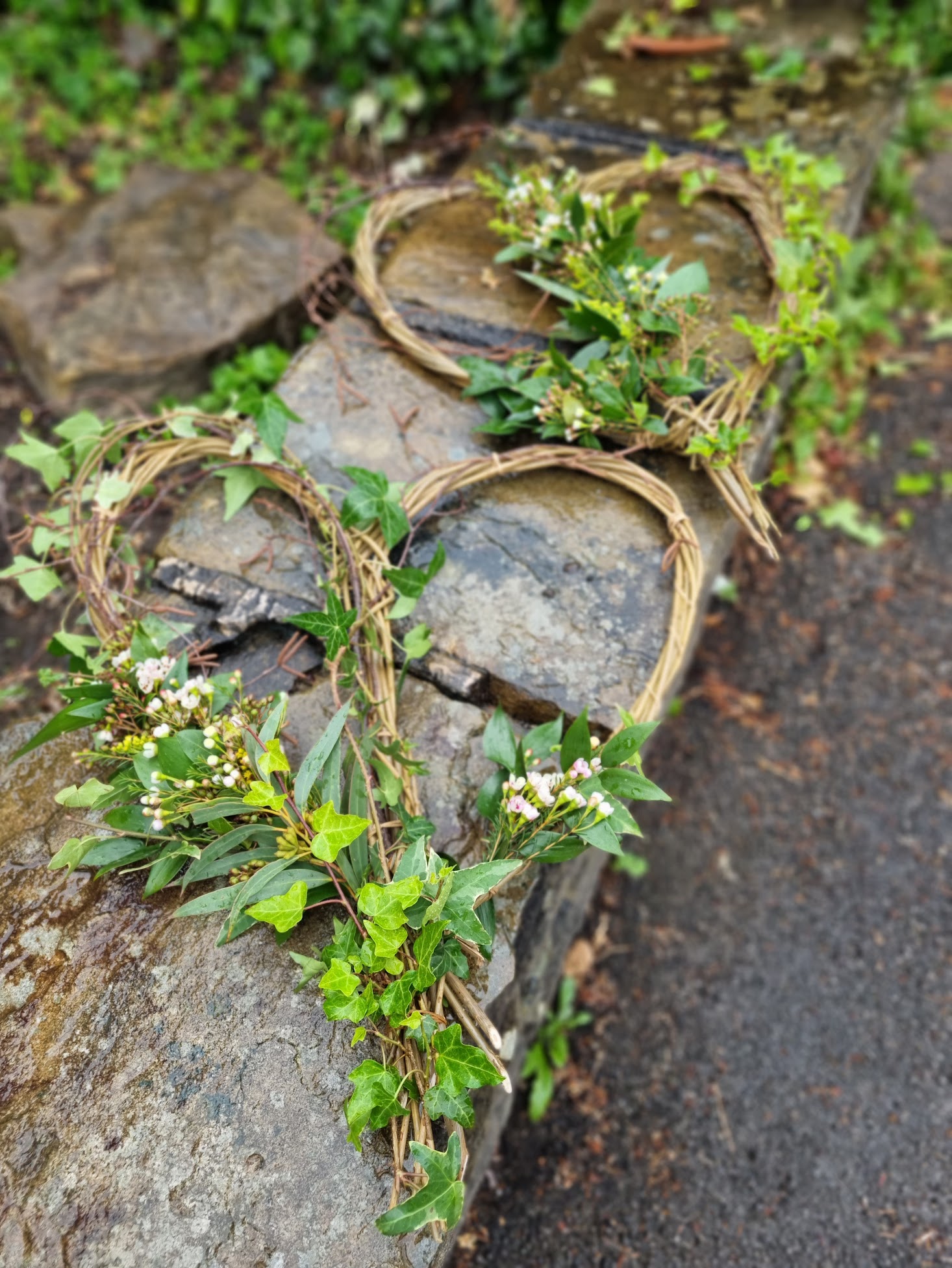 Gallery image 3 for Spring Wood Flowers